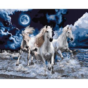 NO-1007744 NORIMPEX 5D Diamantová mozaika - Fantastic Horses