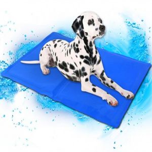6706_1 DR Chladící podložka pro psa - modrá (30x40cm) 