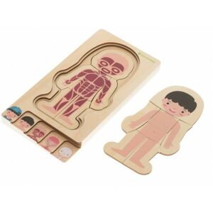5957 DR Dřevěné puzzle - Lidské tělo Dívka