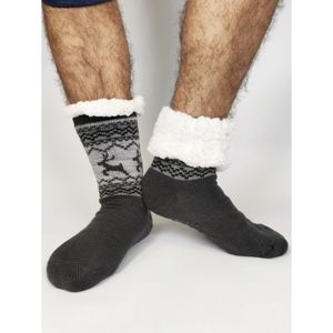 8941 DR Termo pánské protiskluzové ponožky 2020-01 sobík šedé