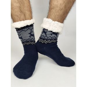 8943 DR Termo pánské protiskluzové ponožky 2020-01 sobík tmavě-modré