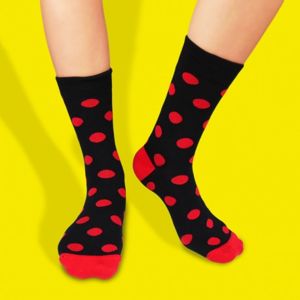 HESTY Veselé ponožky HESTY - Ferdík 43-46