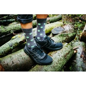 HESTY Veselé ponožky HESTY - Pastelka zelená 39-42
